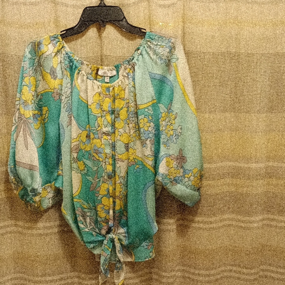 Woman's Silky Blouse
